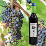 山ぶどうワイン駒月 500ml | 信州佐久 天空の酒